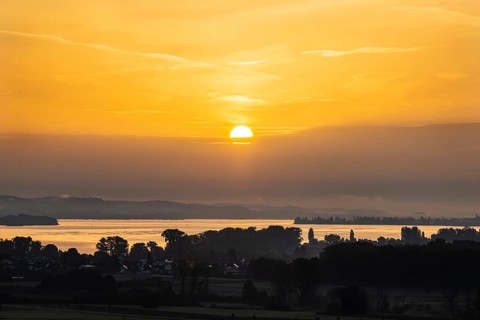Sunrise at Lake Constance nature reserve Zeller Aachried with autumn fog
