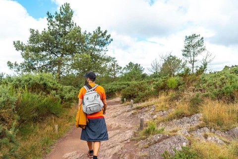 A young man on the footpath in the Broceliande forest