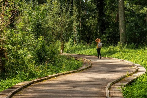 A young woman walking on the trek on the trail between La Garette and Coulon