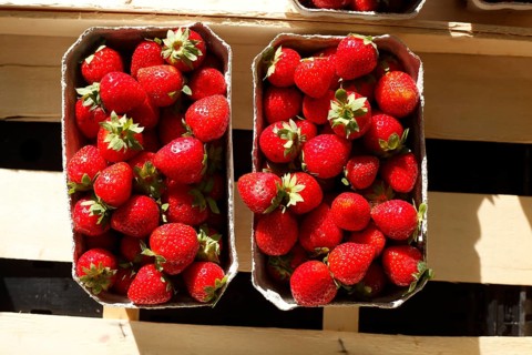 Fresh strawberries