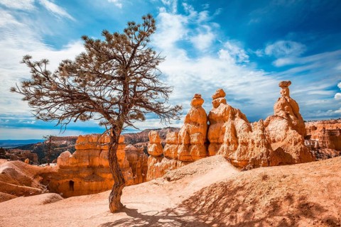 Trekking Queens Garden Trail in Bryce National Park