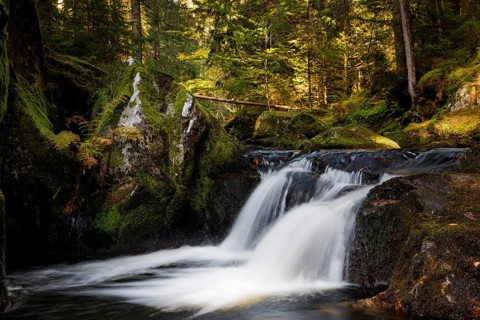Waterfall in autumn forest with rocks