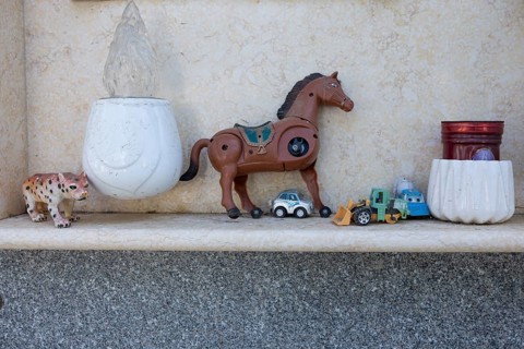 Toy