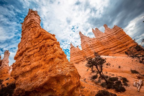 End of the trail with the queen above the stone at Queens Garden Trail in Bryce National Park