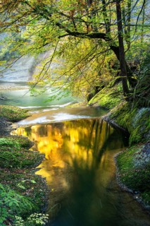 The Eistobel nature reserve