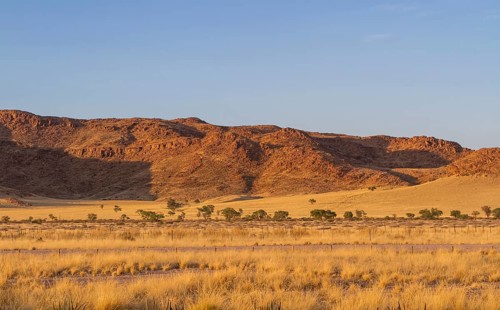 Desert-like landscape