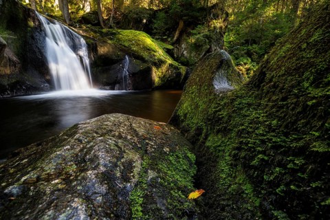 Waterfall in autumn forest with rocks