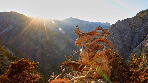 Morning light