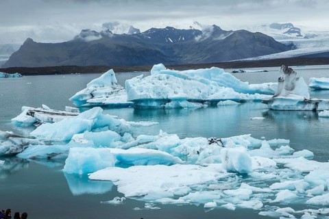 A seal and a young man paddle surfing on Jokulsarlon Ice Lake in the Golden Circle of southern Iceland