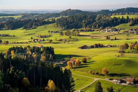 Landscape around Maierhoefen in the Allgaeu in autumn with meadows