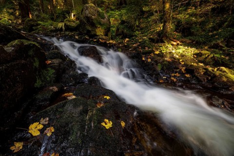 Waterfall in autumn forest with rocks