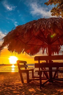 A palm tree on the beach at Sunset from West End Beach