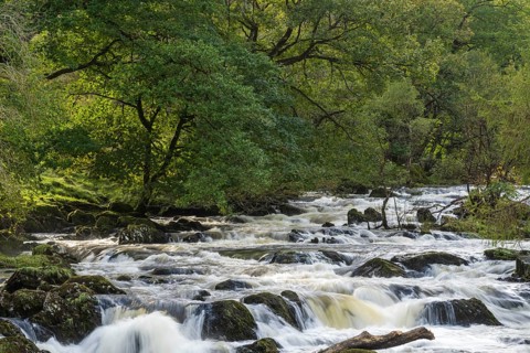 Swallow Falls