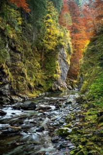 The Breitachklamm gorge with the Breitach river in autumn. A rock face and trees in autumn leaves. Rocks in the river. Long exposure. Oberstdorf