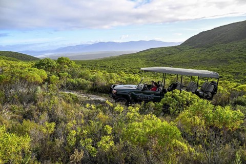 Pickup truck with tourists on a flower safari