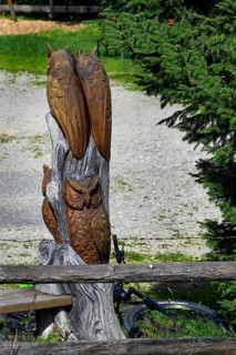 Owls carved from a tree trunk at Alpe Wenger-Egg near Wengen in Allgaeu