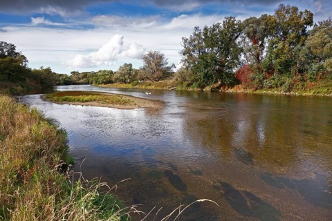 Gravel bank in the Mulde River