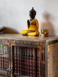 Books and encyclopaedias in old glass case with metal