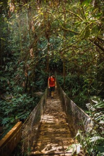A young man walking along a beautiful wooden bridge in the Cerro Azul Meambar National Park