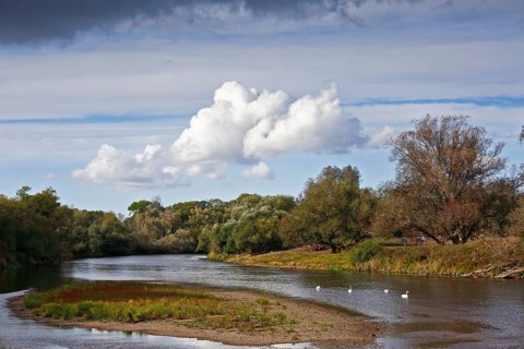 Gravel bank in the Mulde River