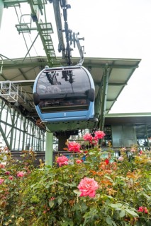 Flowers next to a cabin of the Funchal cable car that goes up the mountain from the beach