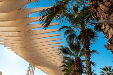 Detail of the structure and palm trees of the promenade called Paseo del Muelle Uno in the city of Malaga