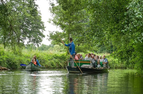 Punt trip