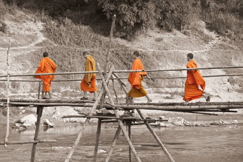 A group of young buddhist monks walking on a bamboo bridge across the Nam Khan river