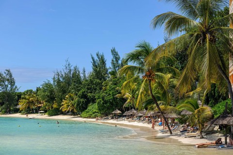 Beach with palm trees Coconut palms