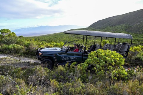 Pickup truck with tourists on a flower safari