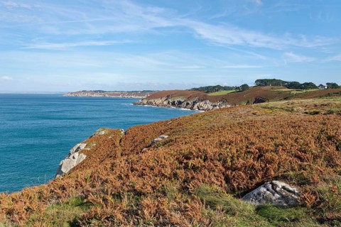Heathland and rocky coast at Pointe du Millier