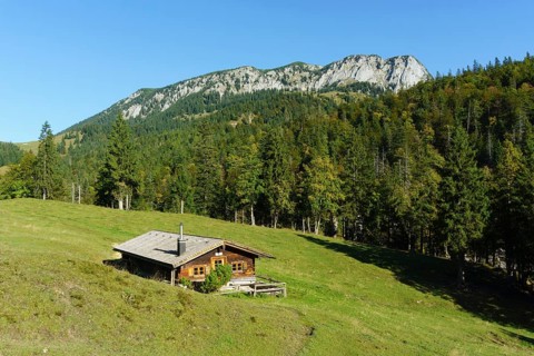 Orterer Alm in front of Benediktenwand