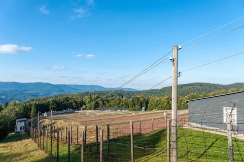 View over the site of the former concentration camp Natzweiler-Struthof