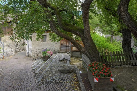 Old mill