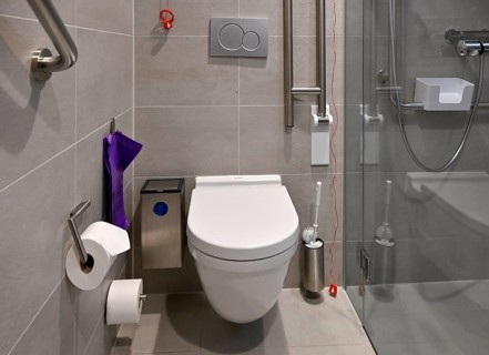 Toilet emergency button