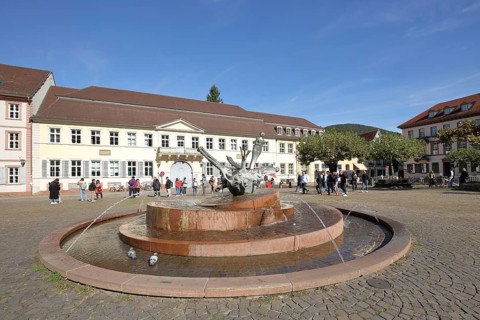 Sebastian Minster Fountain and University Building