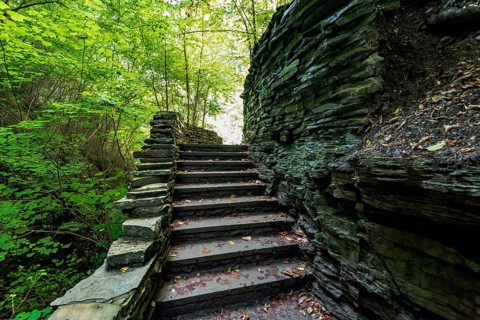 Watkins Glen State Park: Gorge Trail