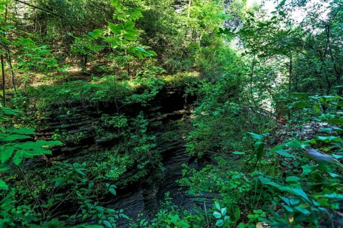Watkins Glen State Park: Gorge Trail entrance and tunnel