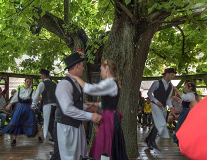 Kirchweih dancing couples dancing on the historic dance lime tree