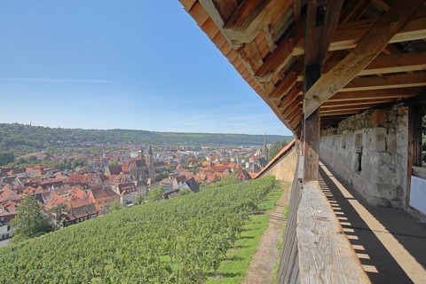 Castle steps and townscape with Gothic town church