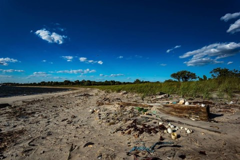 The Barren Island shore on the side of the Dead Horse Bay