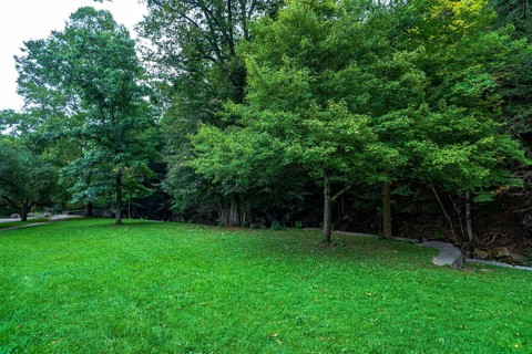 Robert H. Treman State Park: Gorge Trail. Tompkins County