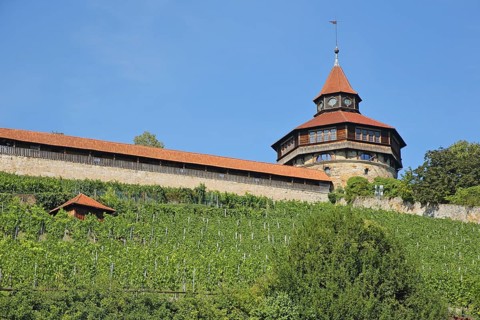 Seilergang and Dicker Turm