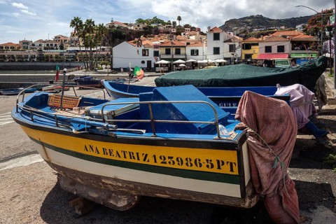 Harbour with colourful fishing boats