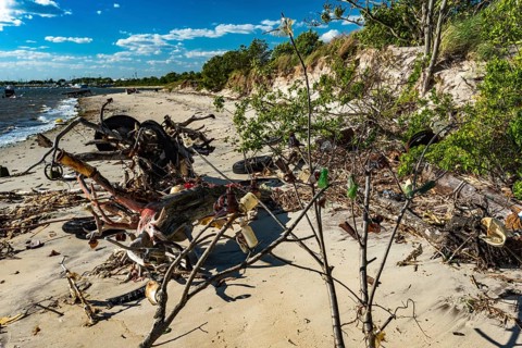 The Barren Island shore on the side of the Dead Horse Bay