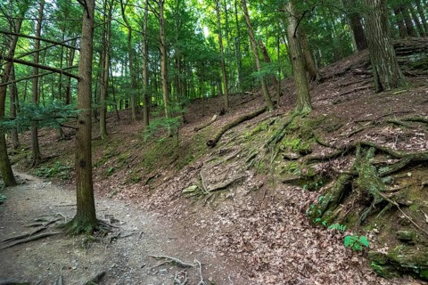 Robert H. Treman State Park: Gorge Trail. Tompkins County