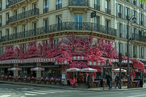 Restaurant La Favorite