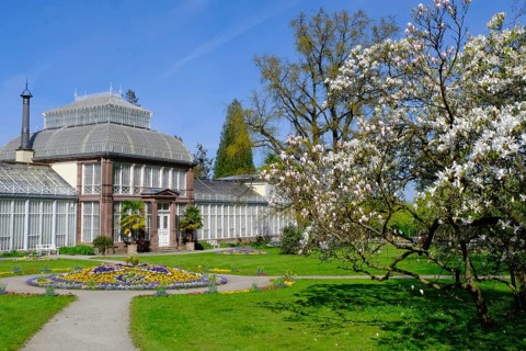 Gewaechshaus