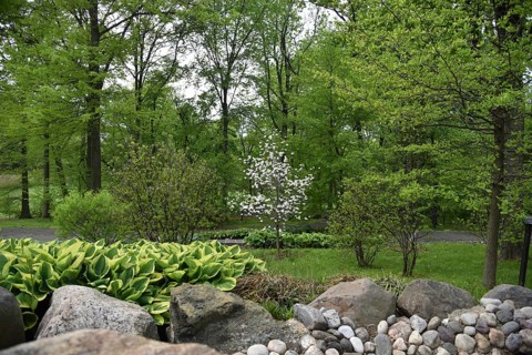 Spring at Snug Harbor Cultural Center and Botanical Garden
