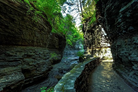 Watkins Glen State Park: Gorge Trail